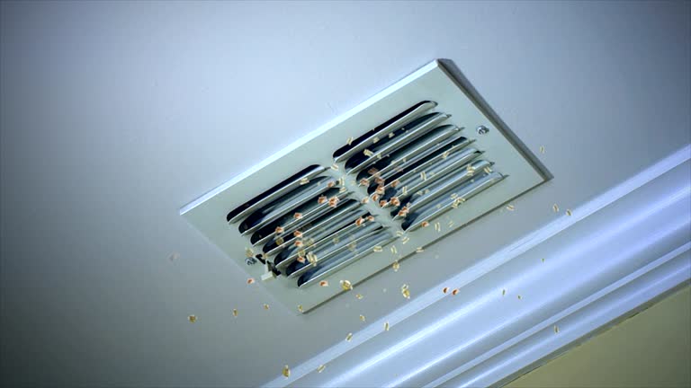 Best Dryer Vent Cleaning Services  in Dodge Center, MN