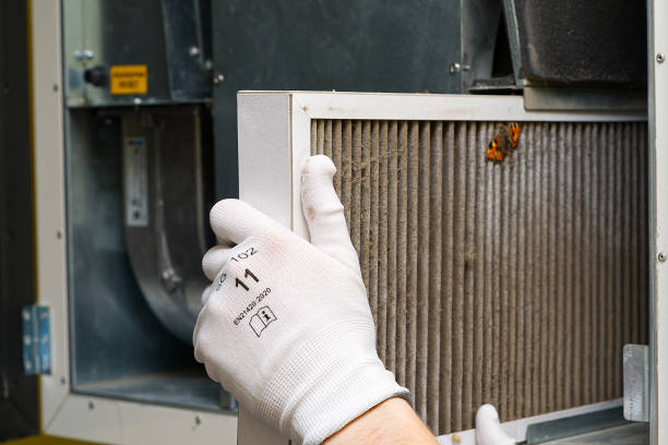 Best Air Duct Cleaning Near Me  in Dodge Center, MN