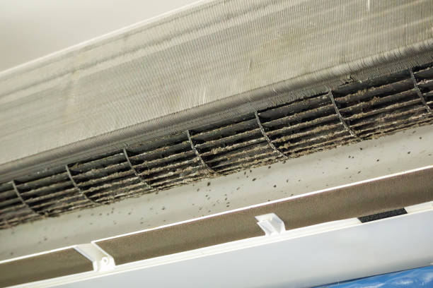 Best Ventilation Cleaning Services  in Dodge Center, MN
