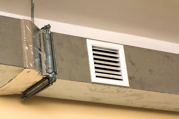 Best Local Air Duct Cleaning Services  in Dodge Center, MN